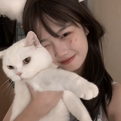 择天纪元手机版下载